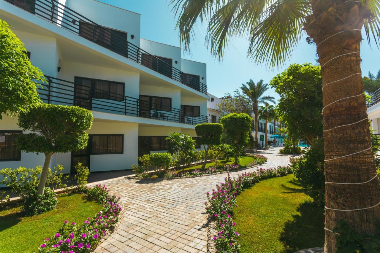 La Rosa Waves Hotel Hurghada