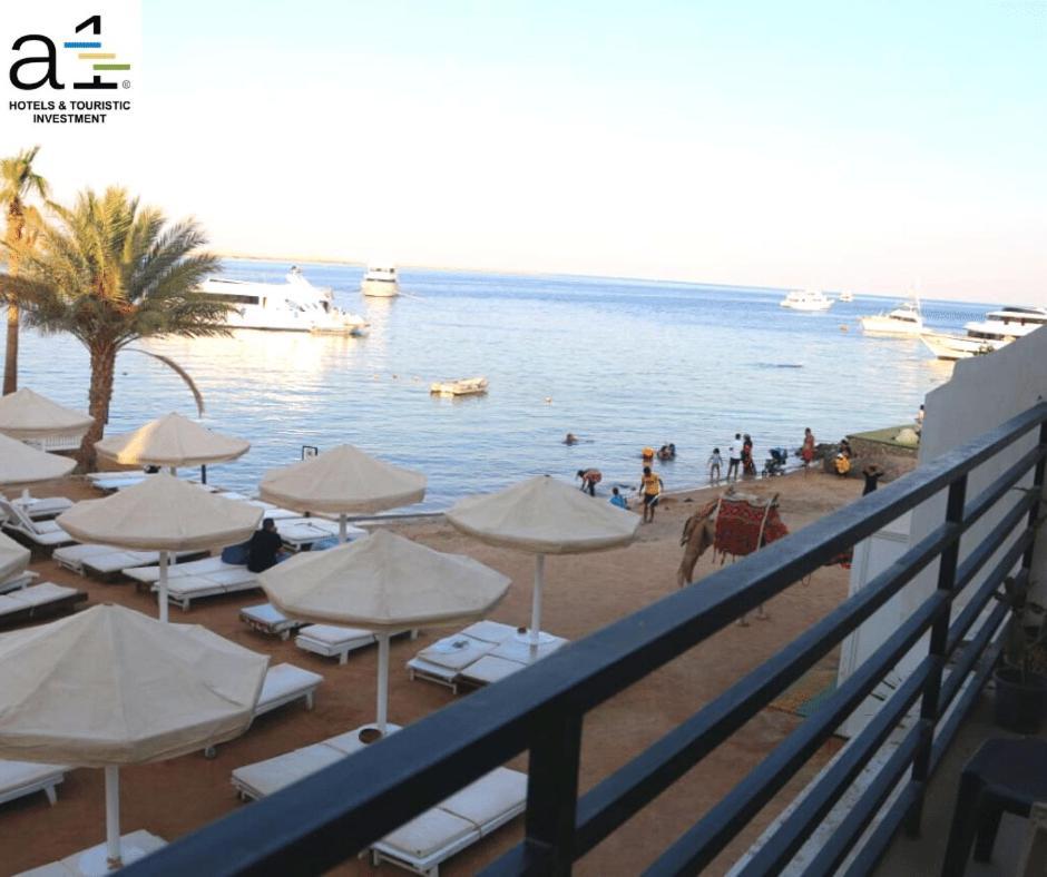 La Rosa Waves 4*